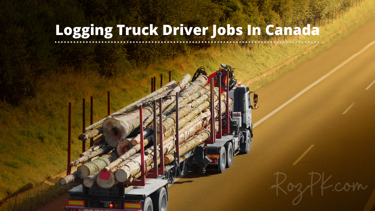 Logging Truck Driver Jobs In Canada