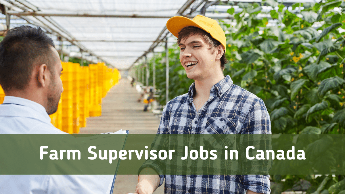 Farm Supervisor Jobs in Canada 2023
