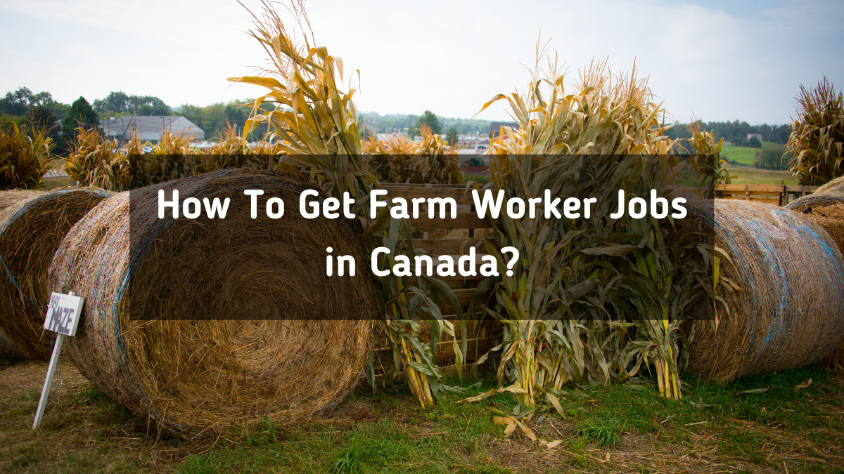 Farm Worker Jobs in Canada in 2025