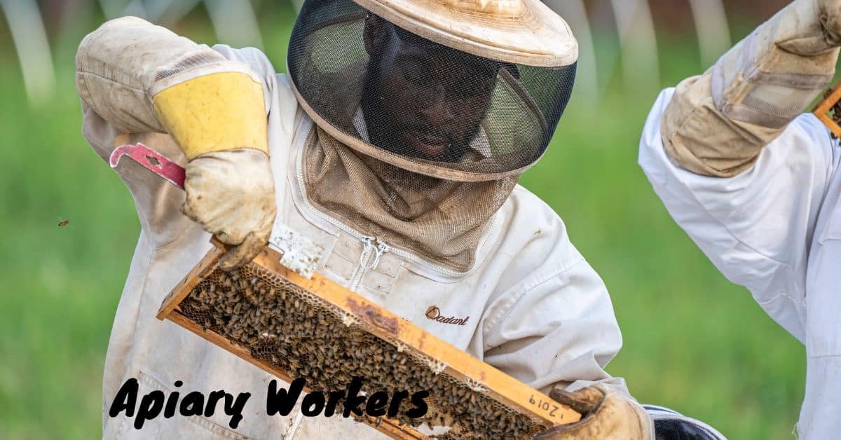 Apiary Worker Vacancies in Canada