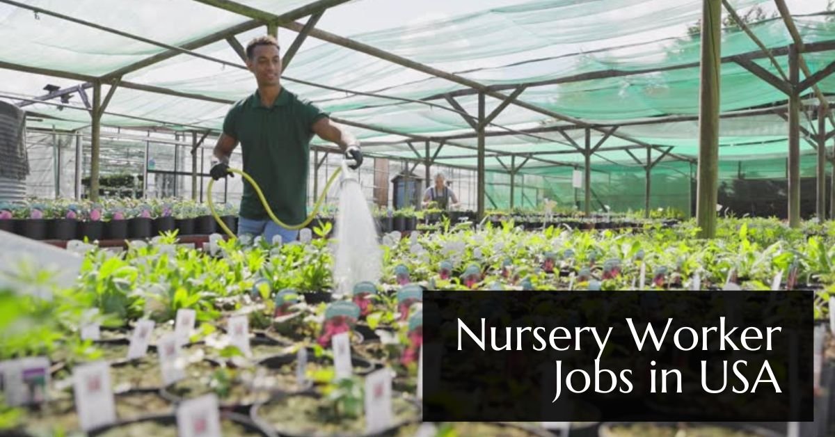 Nursery Worker Jobs in USA (84 Vacancies)